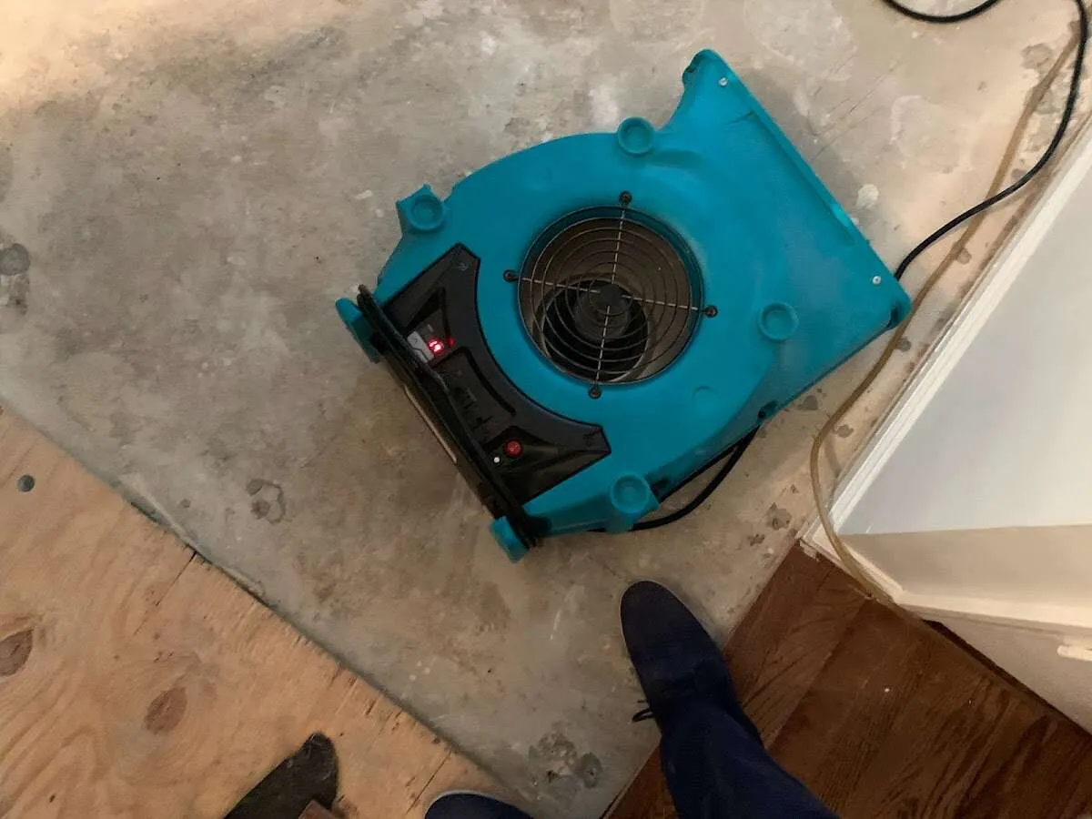 Air mover drying subfloor during Leak Detection & Repair in Ligonier